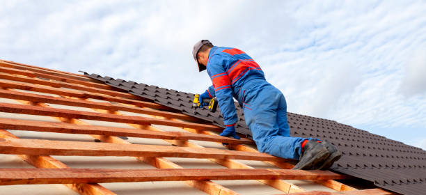 Best Asphalt Shingle Roofing  in Muncy, PA